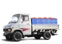 Popular Tata 407 Truck Features and Performance
