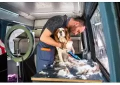 Best service for Mobile Dog Grooming in Cameron Park