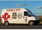 Best service for Mobile Vet in Robina