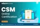 Certified Scrum Master Online Training