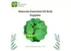 Naturals Essential Oil Bulk Supplier - Sri Venkatesh Aromas