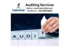 Auditing Services in UAE for Your Business Needs - TradersFind