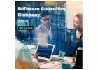 Best Software Consulting Company - Maticz