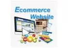Seospidy: Noida's E-commerce SEO Authority for WooCommerce, Magento, OpenCart & Shopify