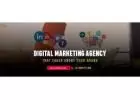 Transform Your Business with Top Digital Marketing Agency in Noida | WebClixs.