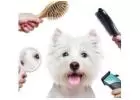 Best service for Puppy Grooming in Four Corners