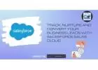 Track, Nurture And Convert Your Business Leads With Salesforce Sales Cloud 