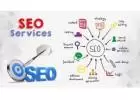 Enhance Your Online Presence with SeoSpidy's Professional SEO Services