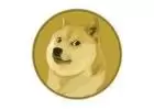 How to Contact Dogecoin Support 