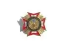 Veteran Affairs Service Pins