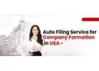 Auto Filing Assistance in Company Formation in USA