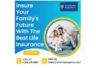 Insure Your Family's Future with the Best Life Insurance