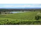 Find the Best Hunter Valley Private Tours 