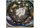 Traditional healer for business problems in Pretoria【＋２７７２５７７０３７６】